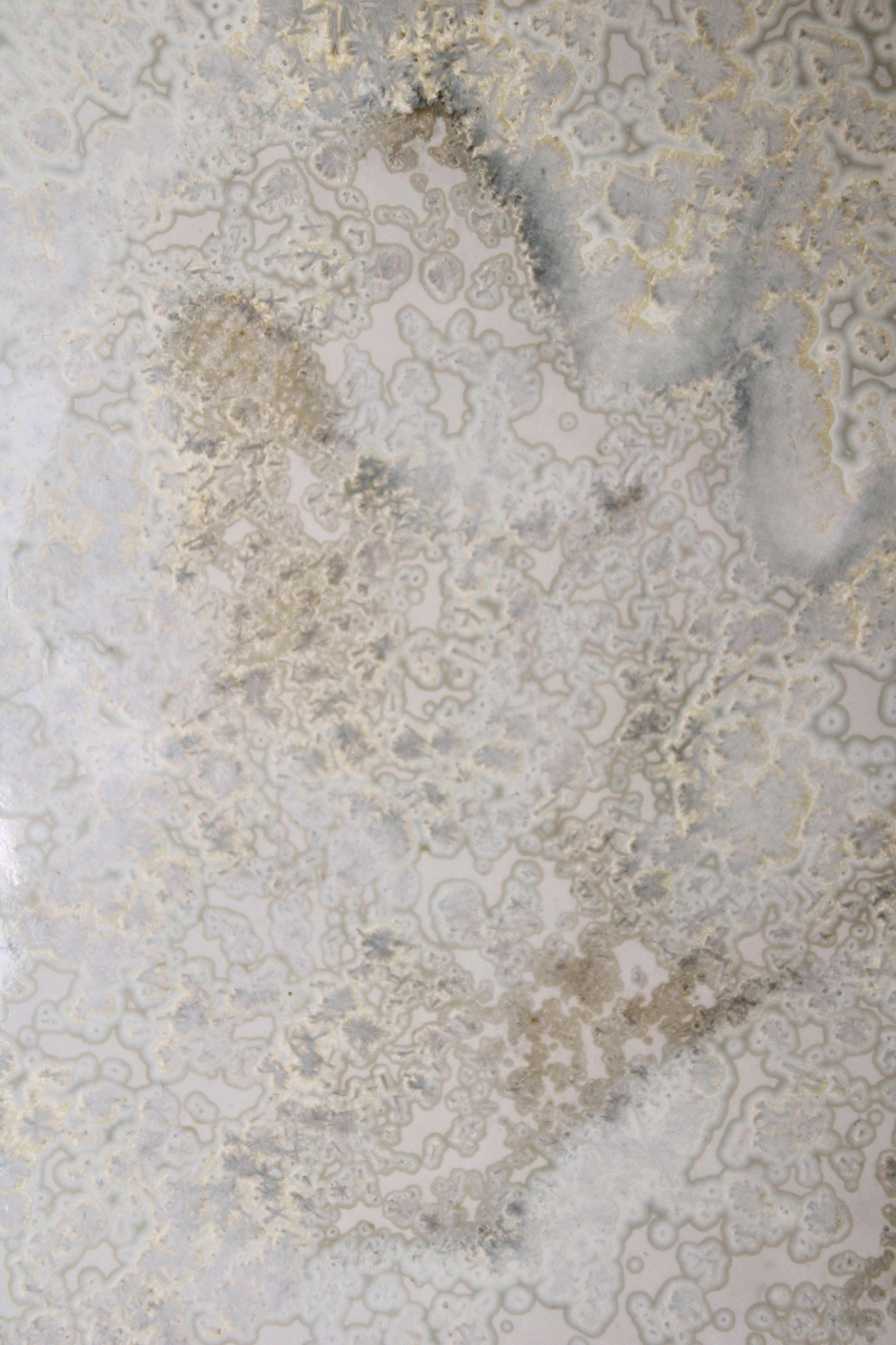 Servier- & Dekoschale